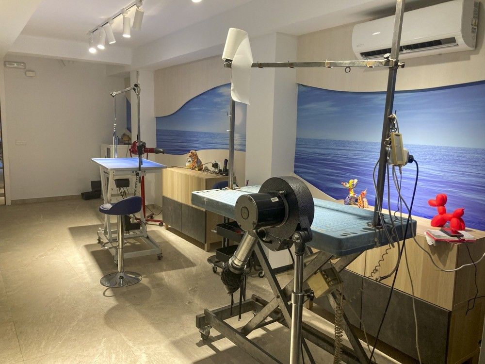 Zona de trabajo de la peluquería canina con mesas y mural de mar