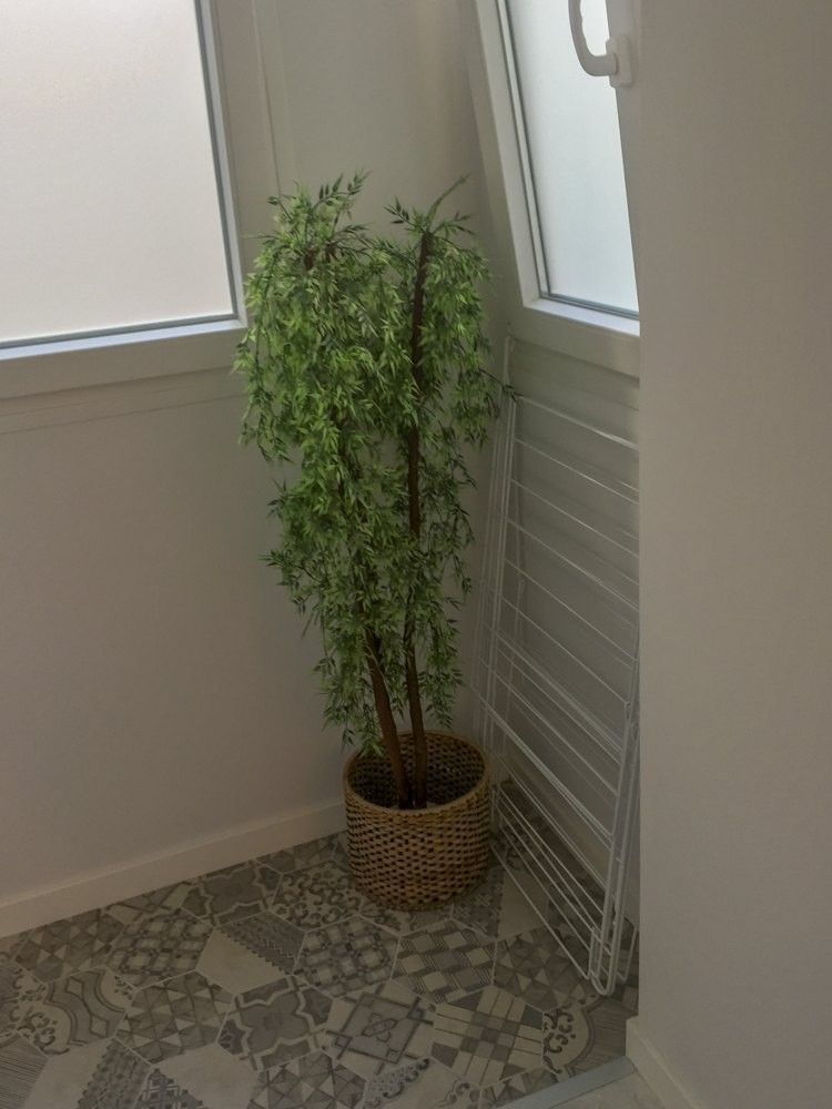 Rincón del baño con suelo hidráulico estampado y ventana